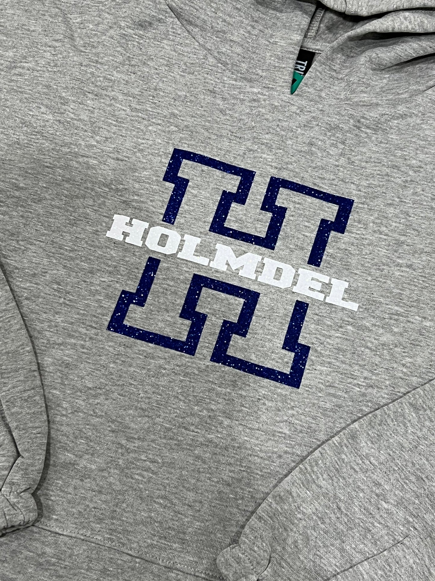 Holmdel Glitter Cropped Hoodie with drawstring tie